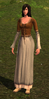 Innkeepers Dress